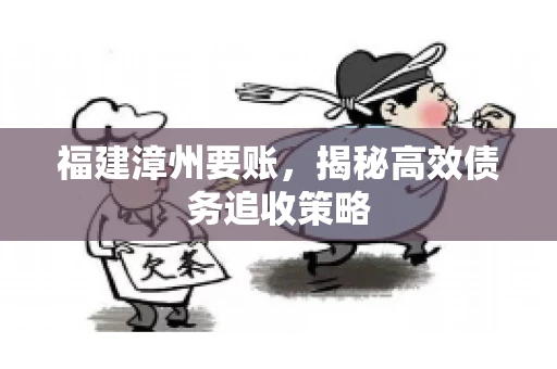 福建漳州要账，揭秘高效债务追收策略