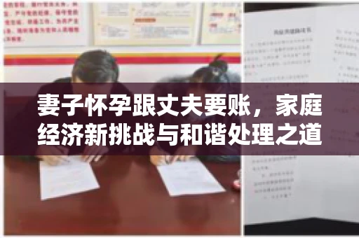 妻子怀孕跟丈夫要账，家庭经济新挑战与和谐处理之道