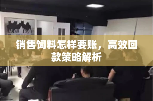 销售饲料怎样要账，高效回款策略解析
