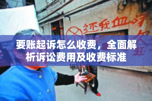 要账起诉怎么收费，全面解析诉讼费用及收费标准
