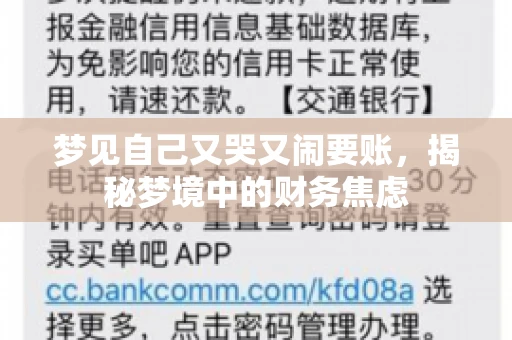梦见自己又哭又闹要账，揭秘梦境中的财务焦虑