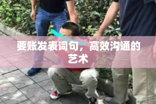 要账发表词句，高效沟通的艺术