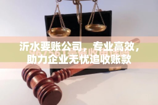 沂水要账公司，专业高效，助力企业无忧追收账款