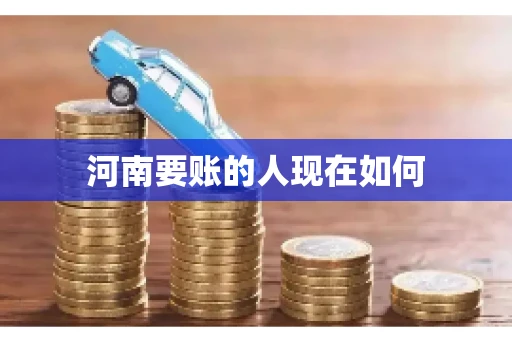 河南要账的人现在如何