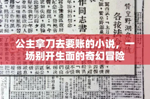 公主拿刀去要账的小说，一场别开生面的奇幻冒险