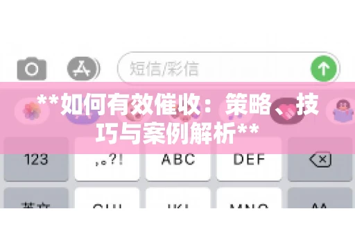 **如何有效催收：策略、技巧与案例解析**