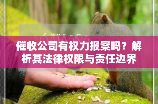 催收公司有权力报案吗？解析其法律权限与责任边界