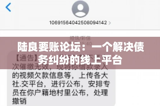 陆良要账论坛：一个解决债务纠纷的线上平台