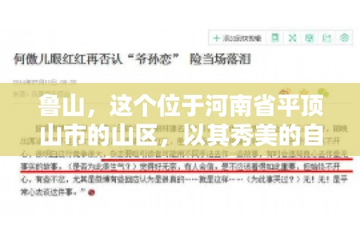 鲁山，这个位于河南省平顶山市的山区，以其秀美的自然风光和丰富的矿产资源而闻名。然而，在商业活动中，难免会遇到一些欠款问题。那么，鲁山有没有要账公司呢？今天，我们就来聊聊这个话题。