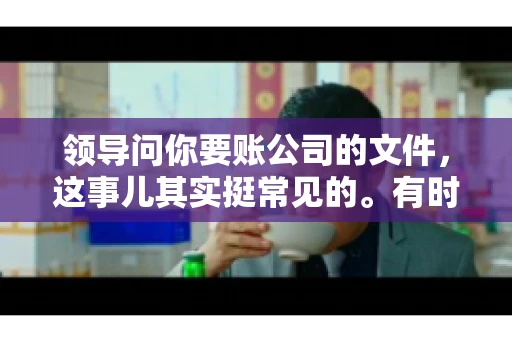 领导问你要账公司的文件，这事儿其实挺常见的。有时候，你可能一头雾水，不知道从何下手。今天，我就来和大家聊聊这个话题，希望能帮到大家。