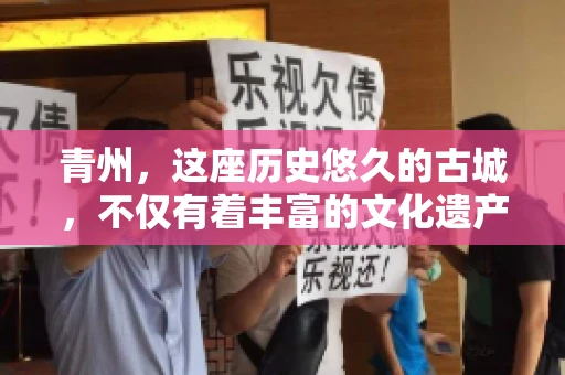 青州，这座历史悠久的古城，不仅有着丰富的文化遗产，还有着繁忙的经济活动。在商业往来中，难免会遇到一些欠款问题，这时候，找一家专业的要账公司就显得尤为重要。那么，青州有帮人要账的吗？答案是肯定的。下面，我就来为大家详细介绍一下青州地区的要账服务。