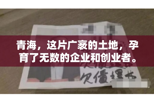 青海，这片广袤的土地，孕育了无数的企业和创业者。然而，在商业活动中，难免会遇到一些欠款问题。这时候，找一家专业的要账公司就显得尤为重要。那么，青海专业要账公司的电话是多少呢？今天，我就来和大家聊聊这个话题。