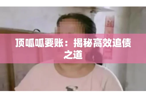 顶呱呱要账：揭秘高效追债之道