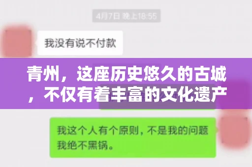 青州，这座历史悠久的古城，不仅有着丰富的文化遗产，也是商业活动频繁的地方。对于许多企业来说，应收账款的管理是日常运营中不可或缺的一环。那么，青州那里有要账的公司呢？今天，我们就来聊聊这个话题。