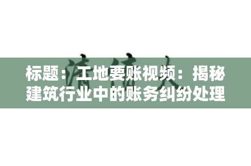 标题：工地要账视频：揭秘建筑行业中的账务纠纷处理