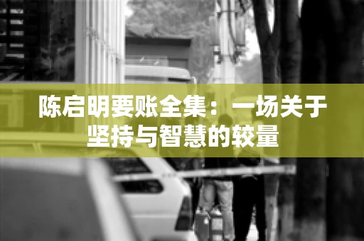 陈启明要账全集：一场关于坚持与智慧的较量