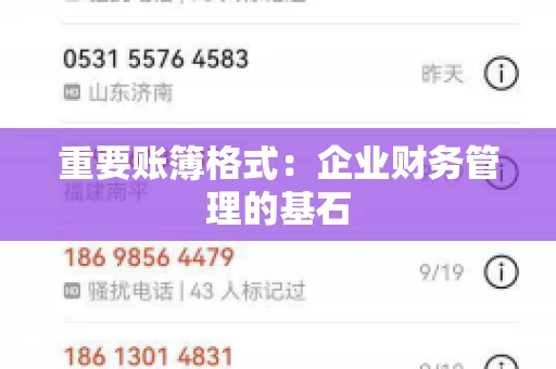 重要账簿格式:企业财务管理的基石 重要账簿格式:企业财务管理的基石