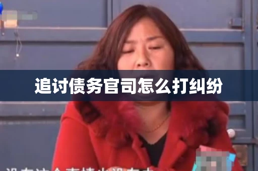 追讨债务官司怎么打纠纷