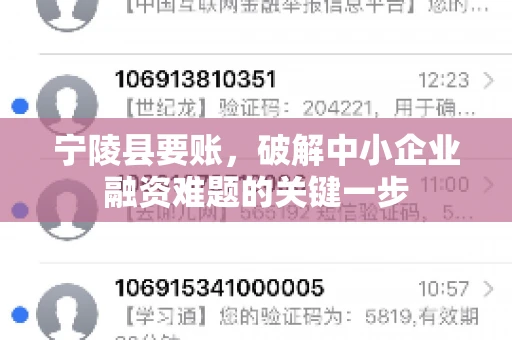 宁陵县要账，破解中小企业融资难题的关键一步