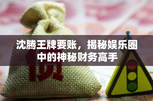 沈腾王牌要账，揭秘娱乐圈中的神秘财务高手