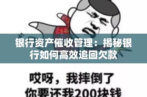 银行资产催收管理：揭秘银行如何高效追回欠款