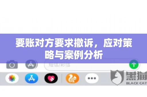 要账对方要求撤诉，应对策略与案例分析